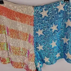 WildFox American Flag Shorts size S